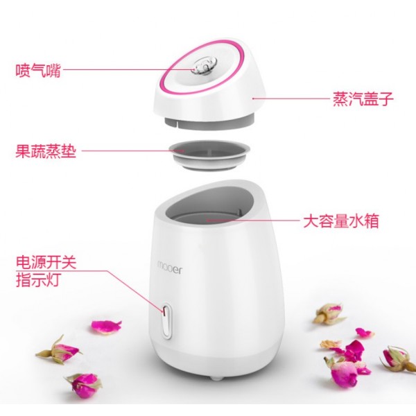 Апарат, Парова сауна для обличчя Maoer, паровий зволожувач обличчя, 1 шт