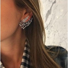 Сережки з камінням "Silver Passion", срібло