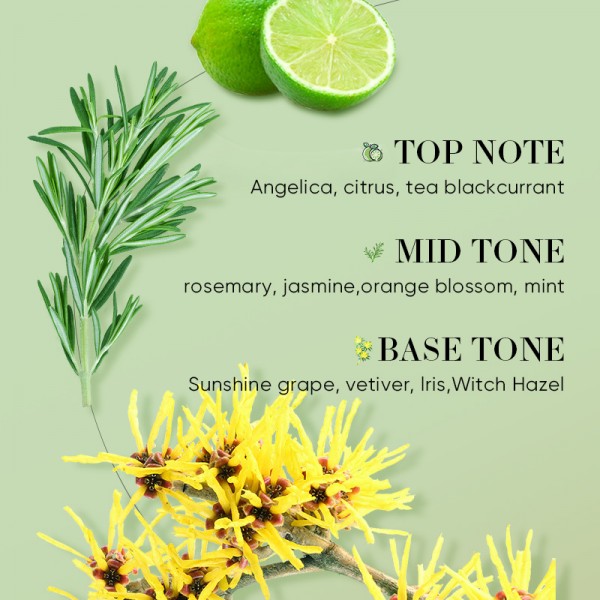 Ефірна олія з розмарином SADOER Rosemary Multipurpose Plant Essential oil, 10 мл Ефірна олія з розмарином SADOER Rosemary Multipurpose Plant Essential oil, 10 мл