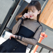 Гольф сітчастий, гольф у сіточку, гольф напівпрозорий, 2 кольори