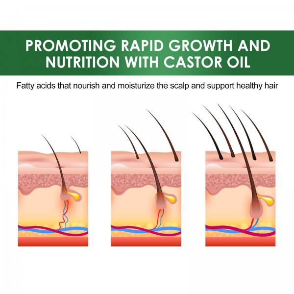 Олія для зміцнення волосся голови та вій Eelhoe Black Castor Oil, 60 мл Олія для зміцнення волосся голови та вій Eelhoe Black Castor Oil, 60 мл