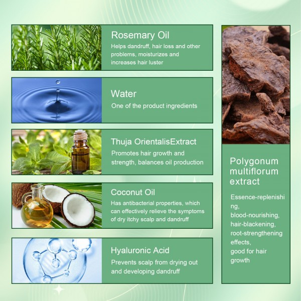 Флюїд для росту волосся Eelhoe Rosemary Mint Scalp & Hair Strengthening Oil, 60 мл