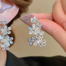 Сережки "Shining Crater", срібло