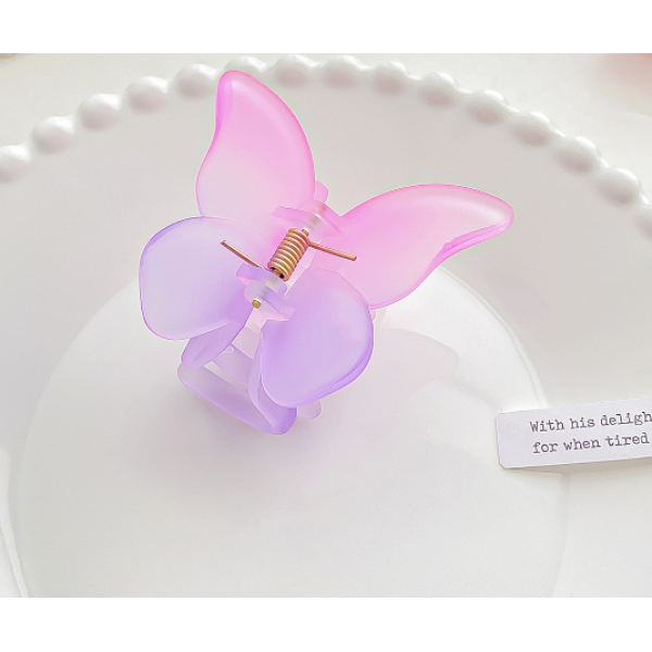 Затискач для волосся "Gradient", 6 кольорів, 5.5х6.6 см