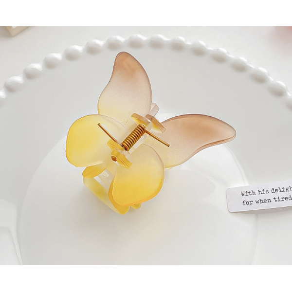 Затискач для волосся "Gradient", 6 кольорів, 5.5х6.6 см