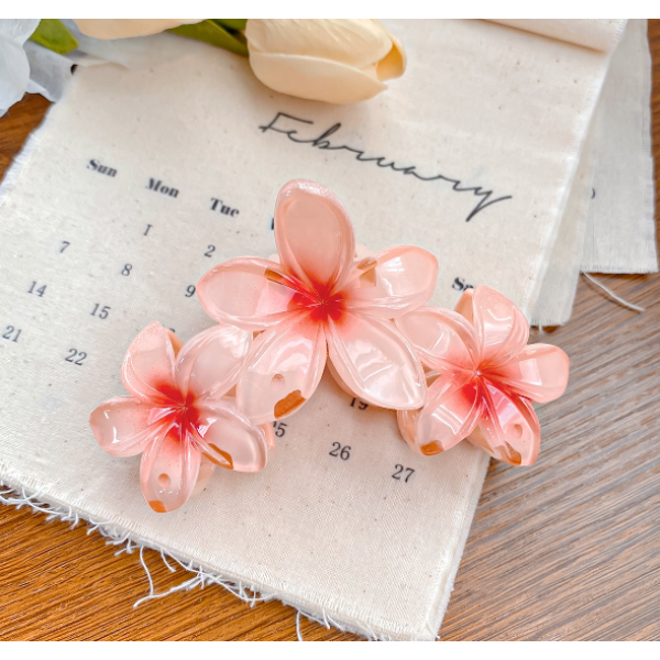 Затискач для волосся "Crystal Flower", 6 кольорів, 10х5.5 см