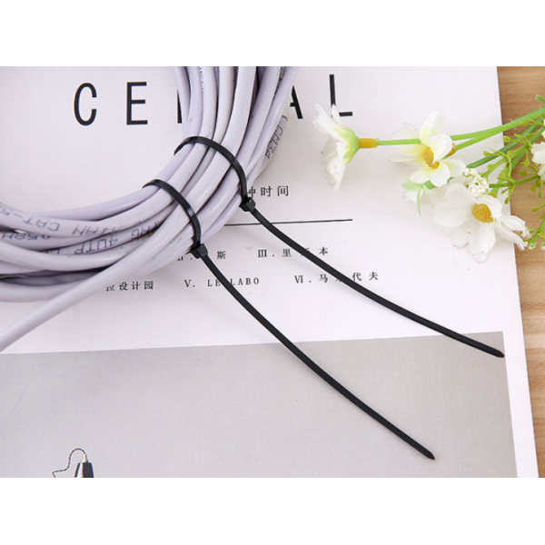 Хомути пластикові, хомути стяжки, чорні, 2,5х100 мм, 100 шт