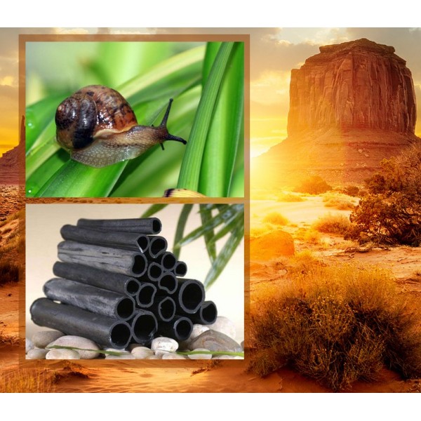 Мило чорне Organic Black Soap, з муцином равлика і бамбуковим вугіллям, 120 г