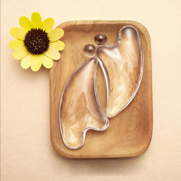 Масажер Гуаша, аплікатор для обличчя та тіла MTG REFA FACE CAXA SET