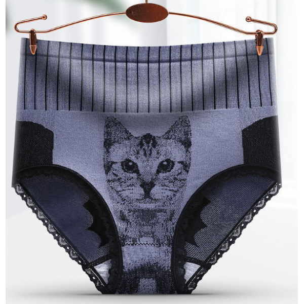 Трусики сліпи утягуючі, високі трусики моделюючі з принтом, три кольори, розмір L