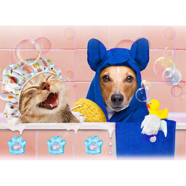 Гелева капсула для купання котів та собак, капсула у формі лапки, гель для купання з квітковим ароматом, 1 шт Гелева капсула для купання котів та собак, капсула у формі лапки, гель для купання з квітковим ароматом, 1 шт